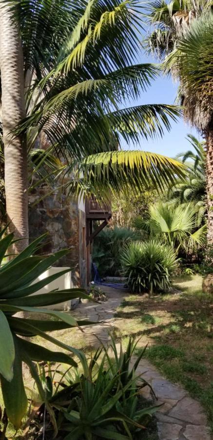 La Casita De La Vega Apartment Icod De Los Vinos Exterior photo